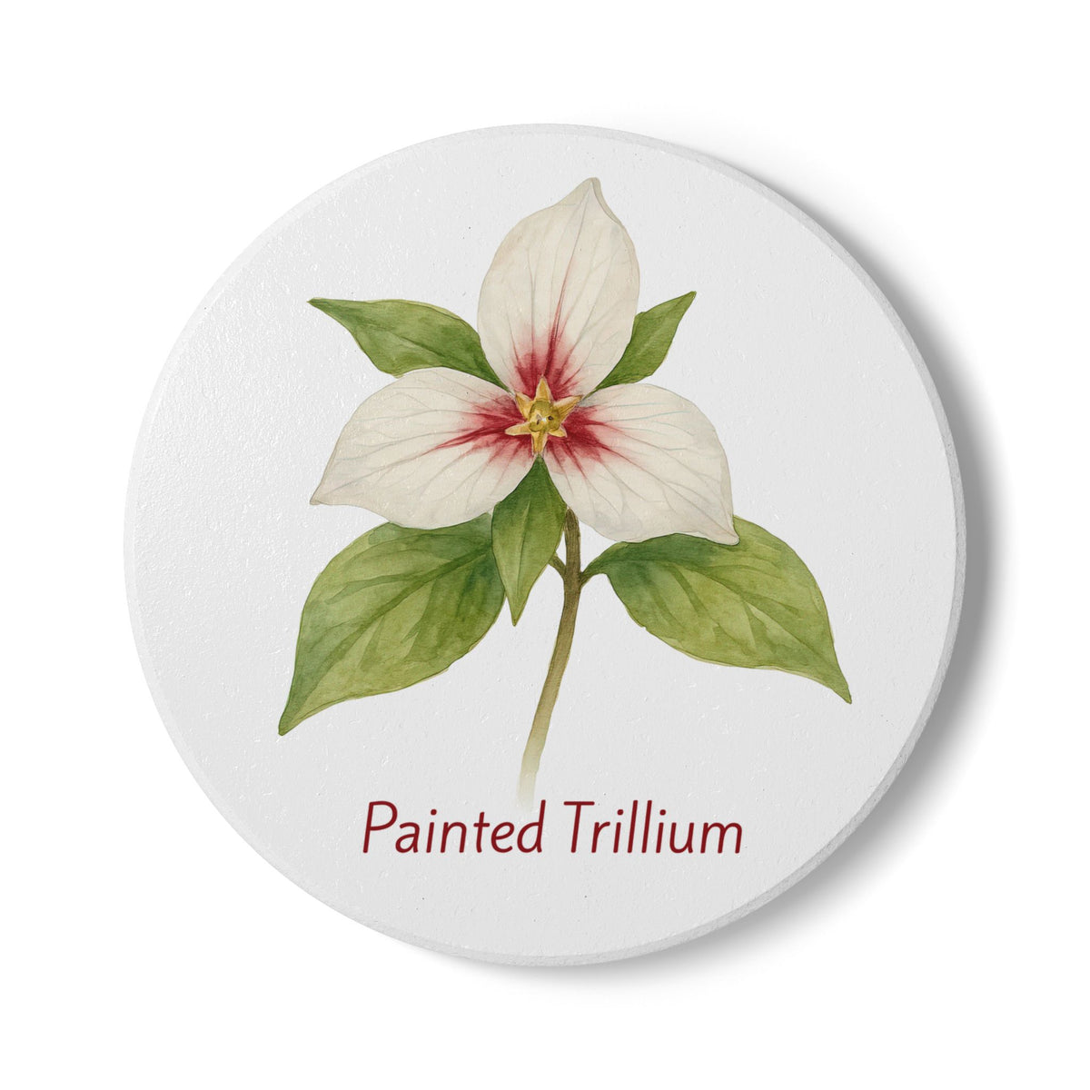 Painted Trillium Art Coaster by Printify