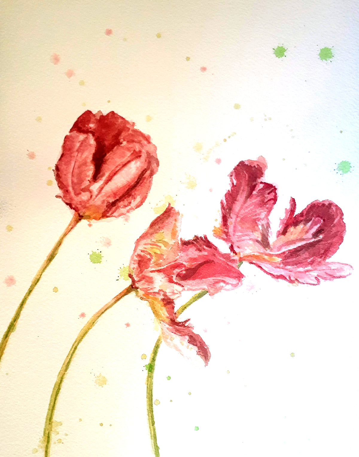 Trio of fringed tulips by Joyce Maura Anderson