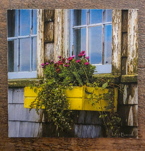 JL 2" magnet design images AC by Janet Lang
