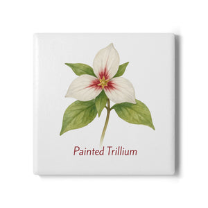 Painted Trillium Art Coaster by Printify
