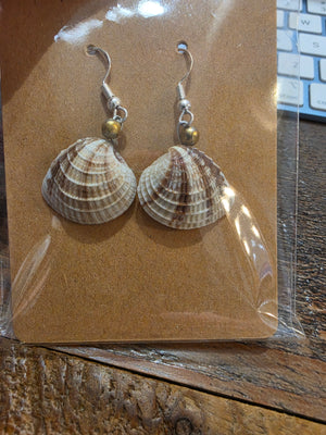 Tiny clam shell earings by Tonya Arnold