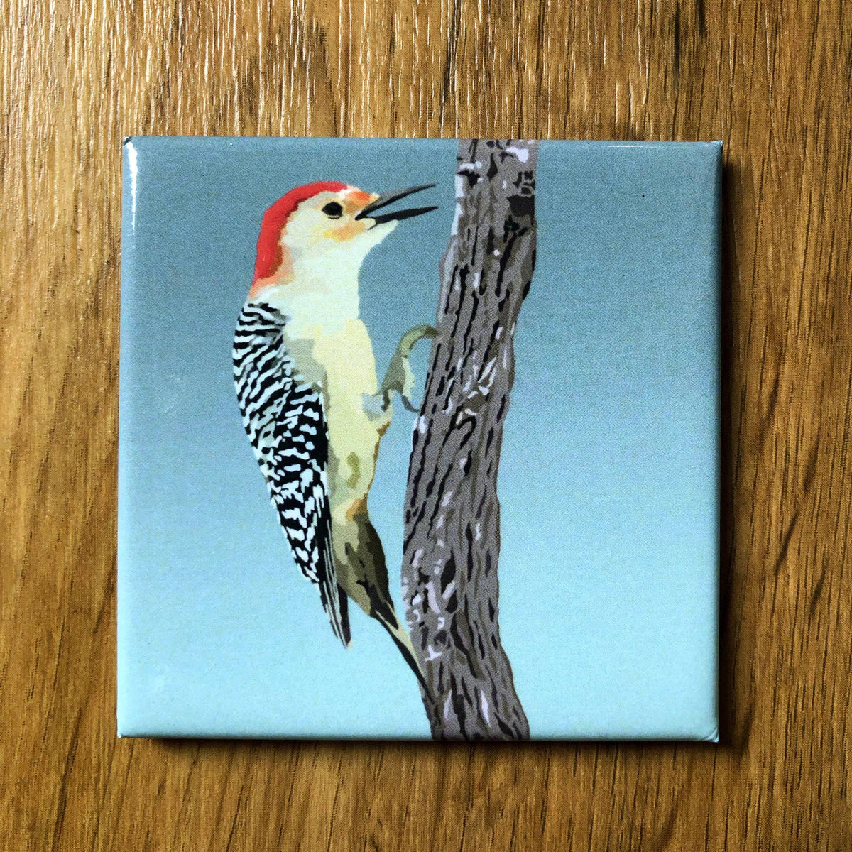 Red-bellied Woodpecker Acrylic Magnet by Lehoux Art