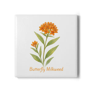 Butterfly Milkweed Art Coaster by Printify