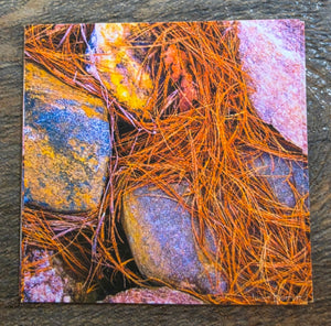 JL 2" magnet design images AC by Janet Lang