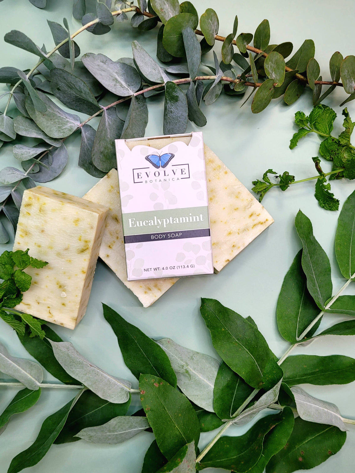 Standard Bar Soap - Eucalyptamint by Evolve Botanica