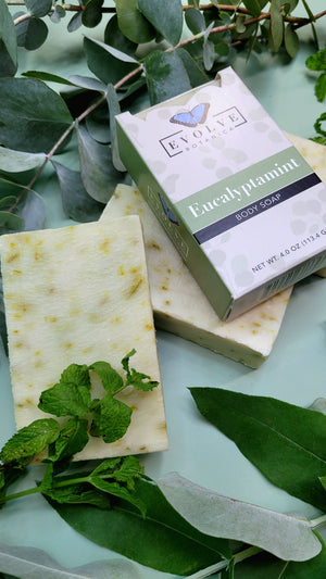 Standard Bar Soap - Eucalyptamint by Evolve Botanica