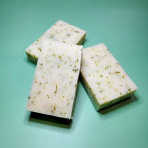 Standard Bar Soap - Eucalyptamint by Evolve Botanica