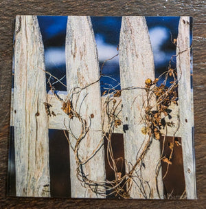 JL 2" magnet design images AC by Janet Lang
