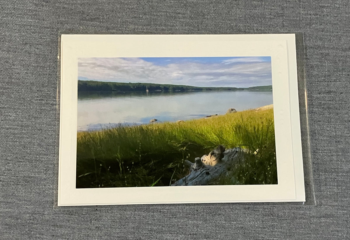 Picture card by Tonya Arnold