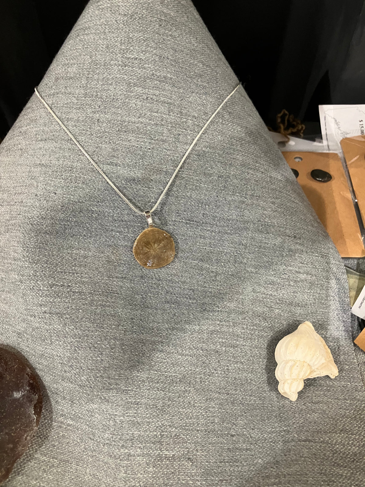 Sand dollar necklace on silver cord-small by Tonya Arnold
