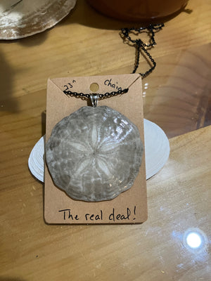 Sand dollar long necklace-lg by Tonya Arnold