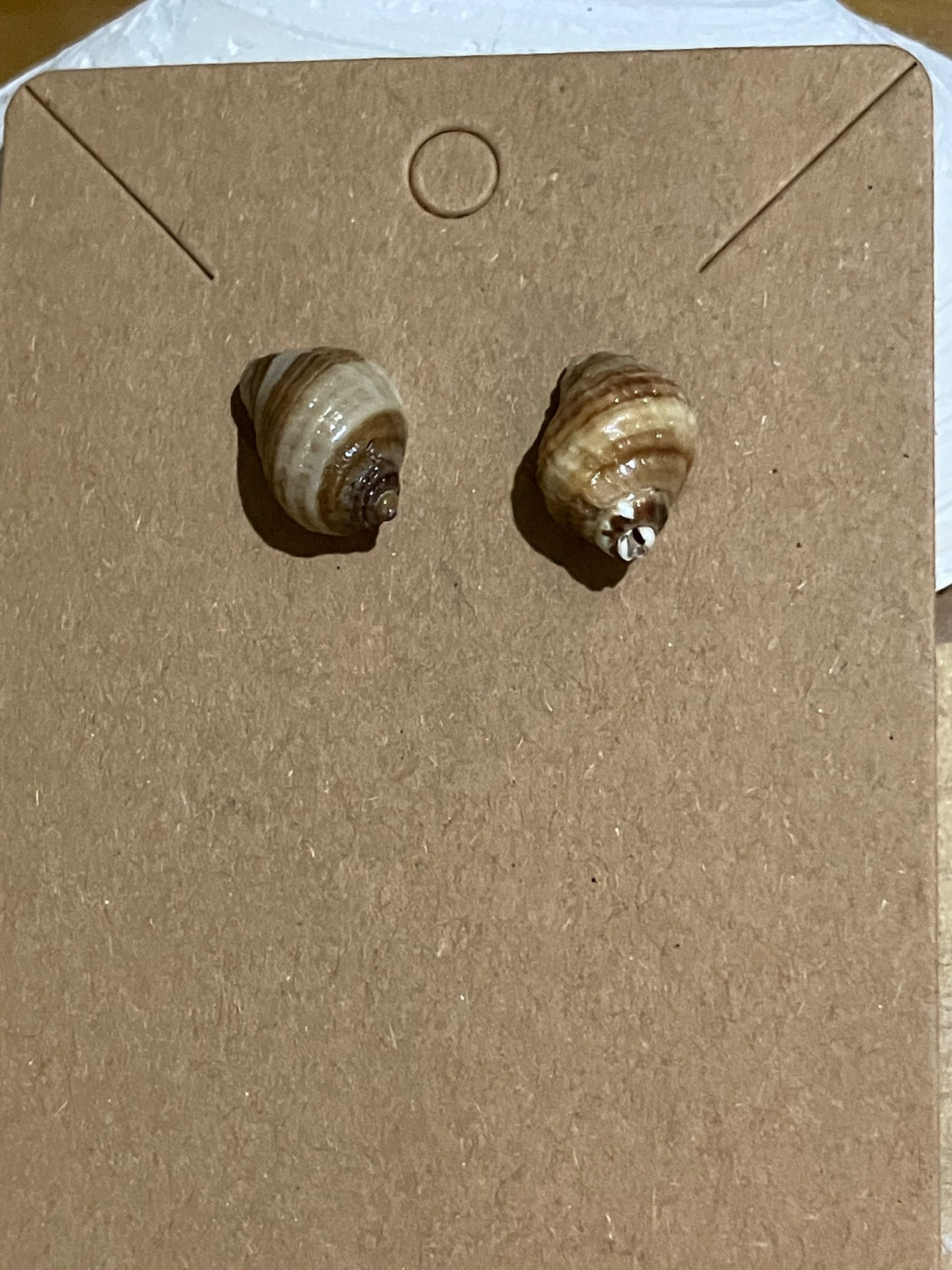 Tiny snail studs by Tonya Arnold