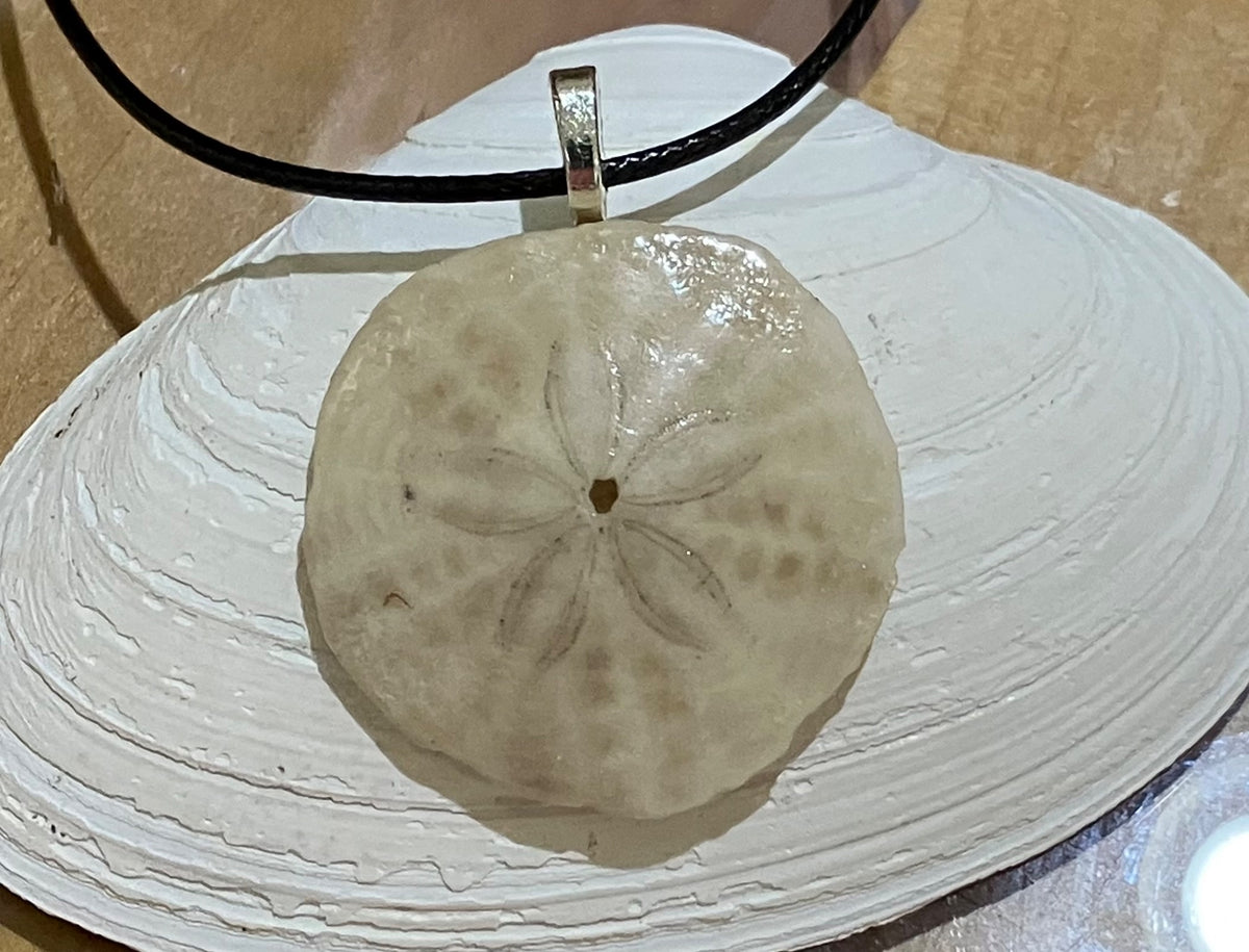 Sand dollar -w black cord by Tonya Arnold