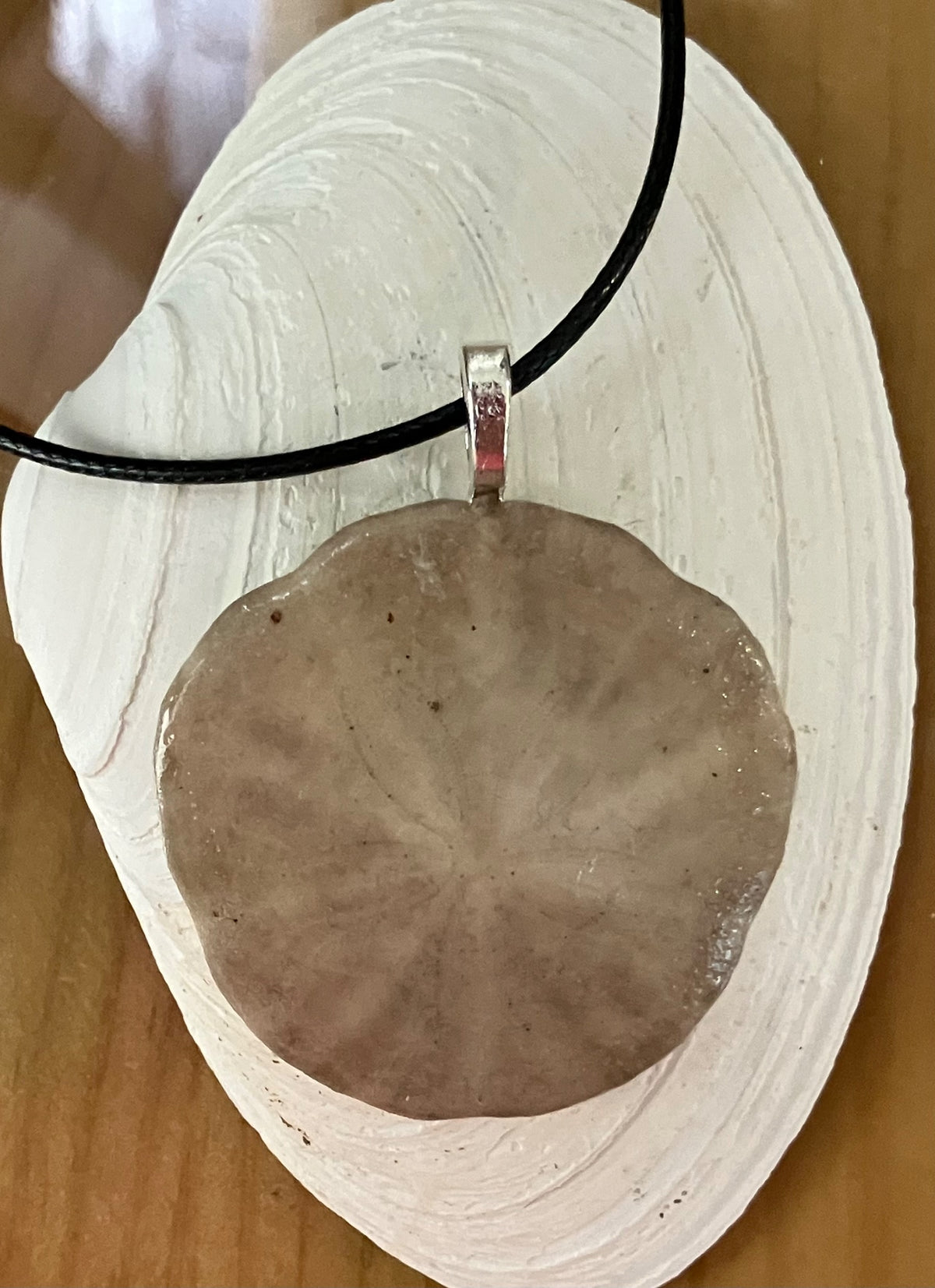 Sand dollar on black cord by Tonya Arnold