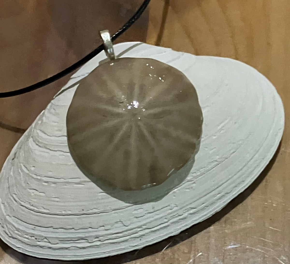 Sand dollar necklace black cord by Tonya Arnold