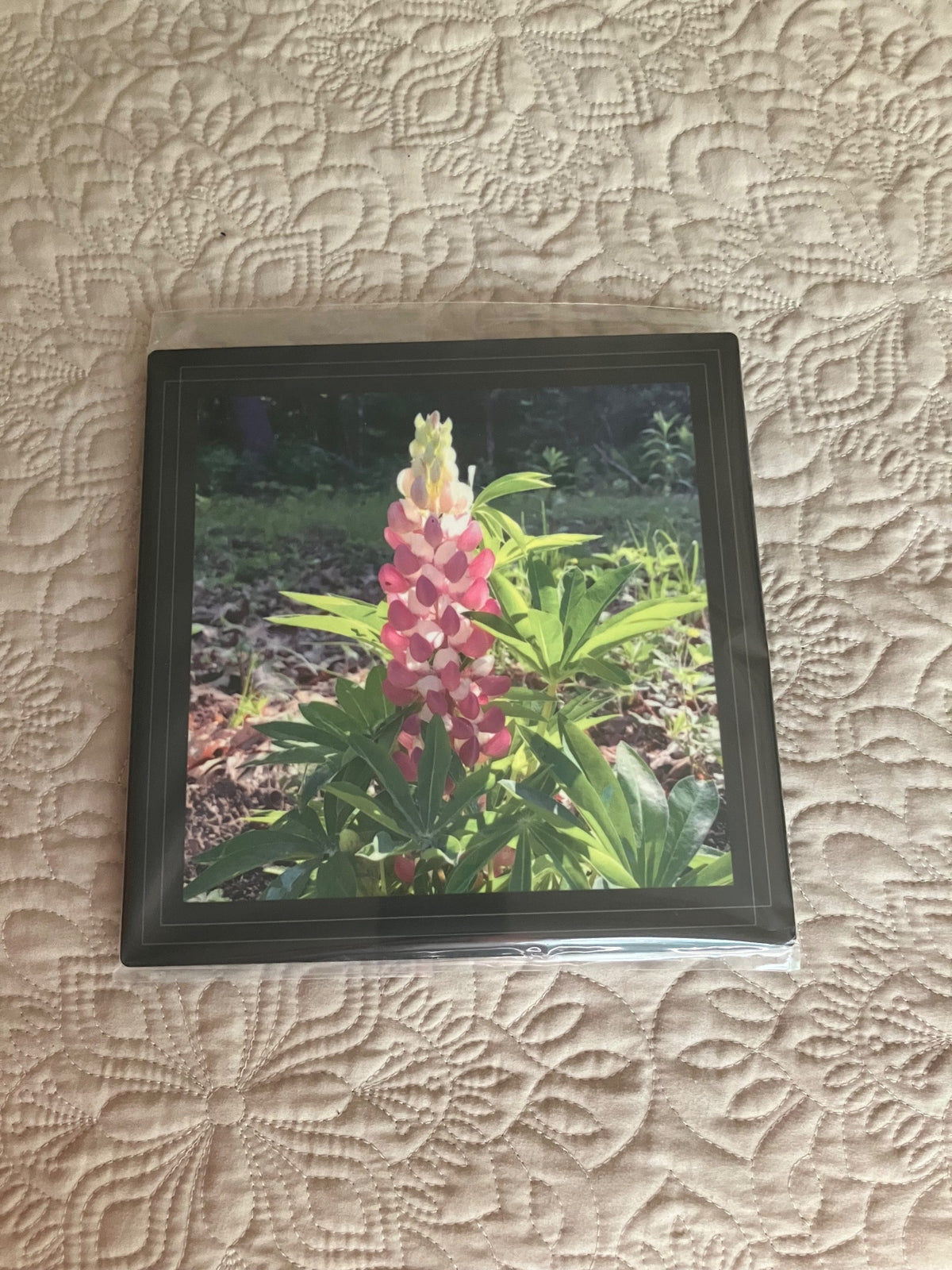 Original/durable- sun on lupine by Tonya Arnold