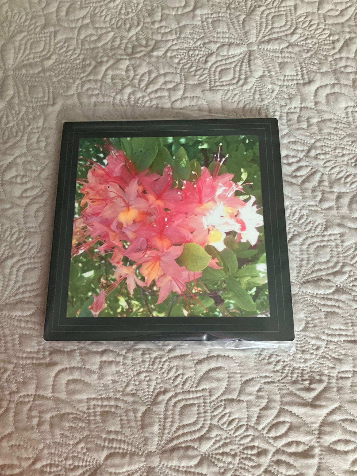 Original/durable-peach rhody by Tonya Arnold