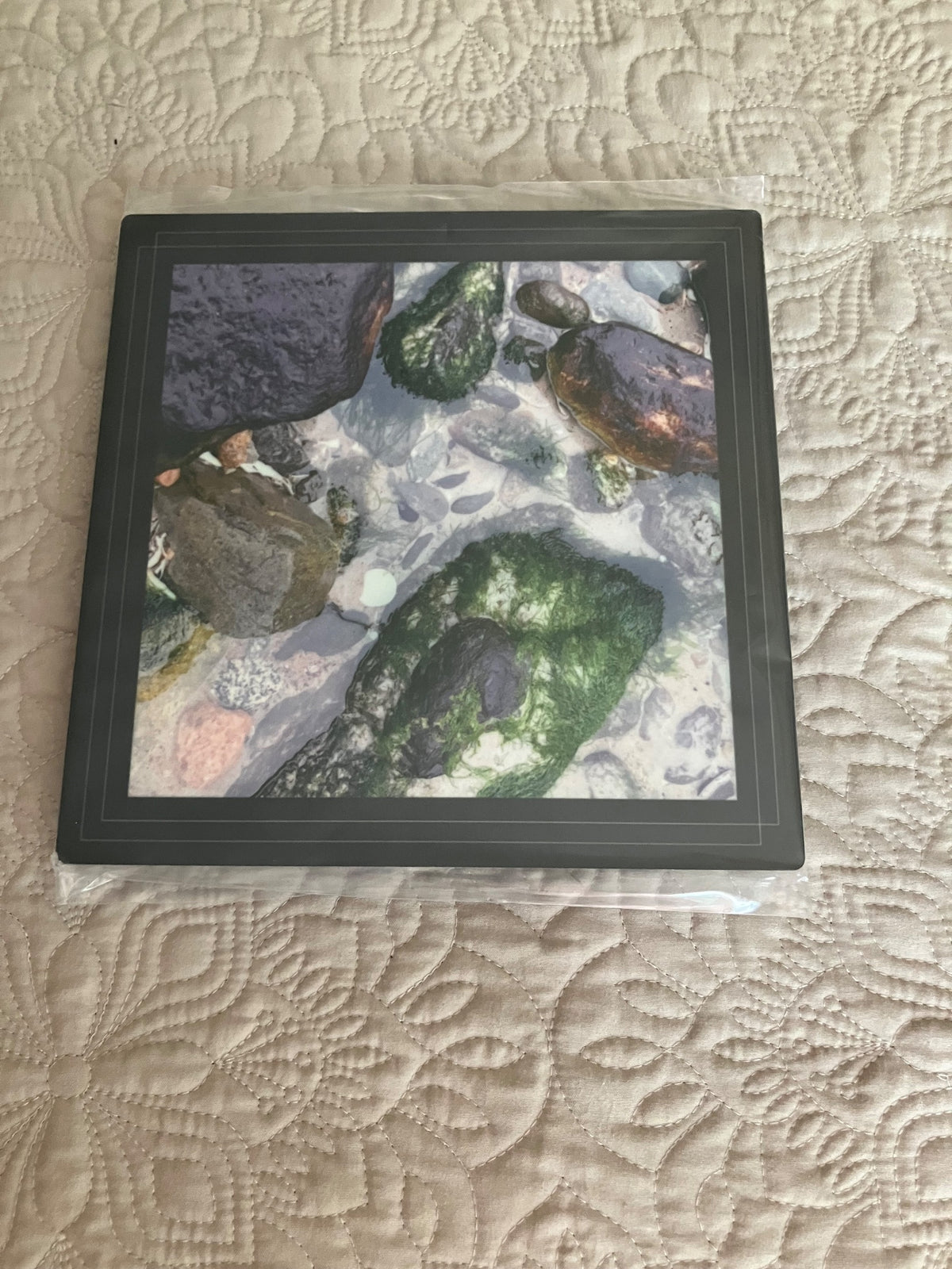 Original/durable - tidepool by Tonya Arnold