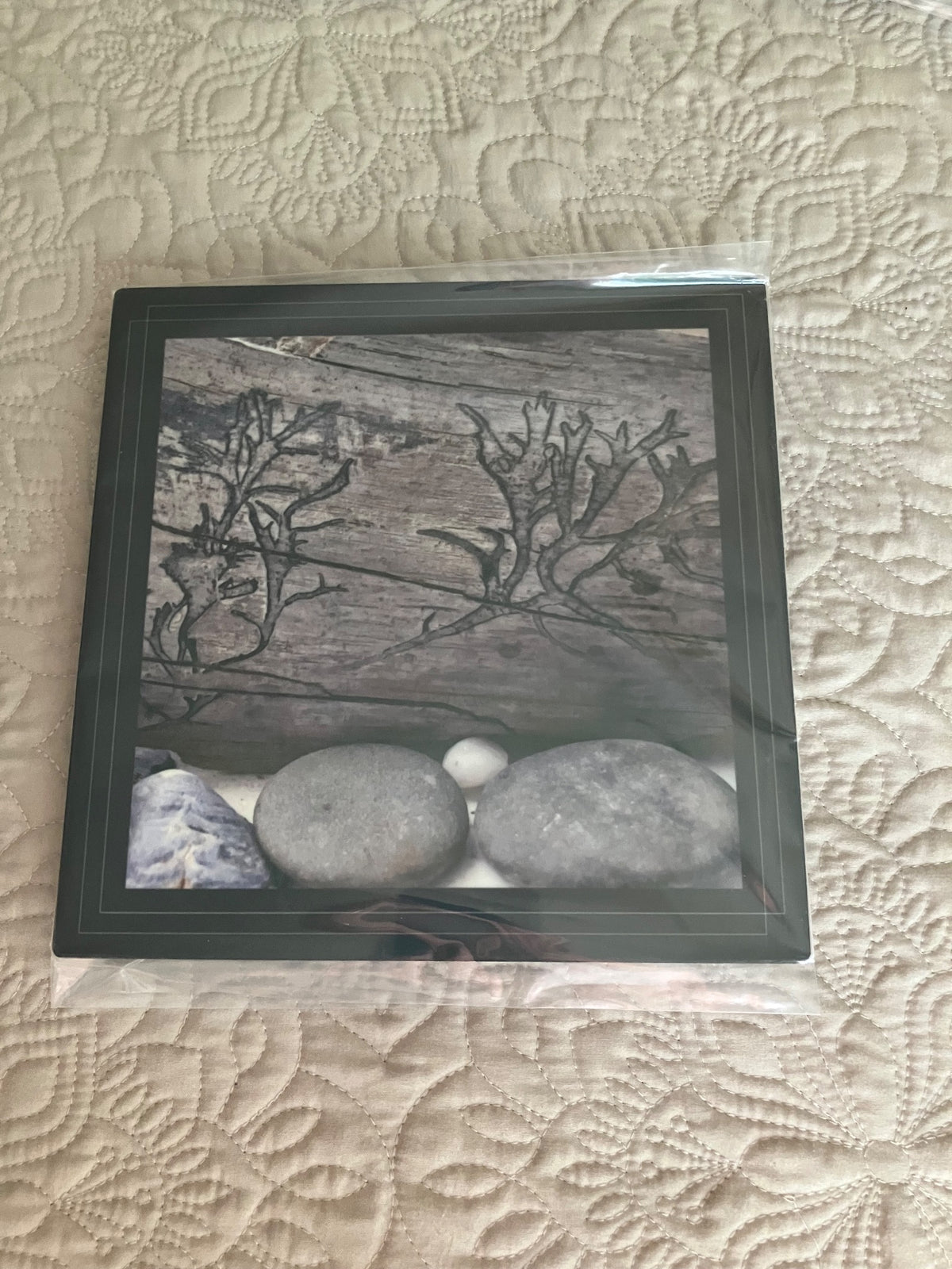 Original/Durable- liken fossil by Tonya Arnold