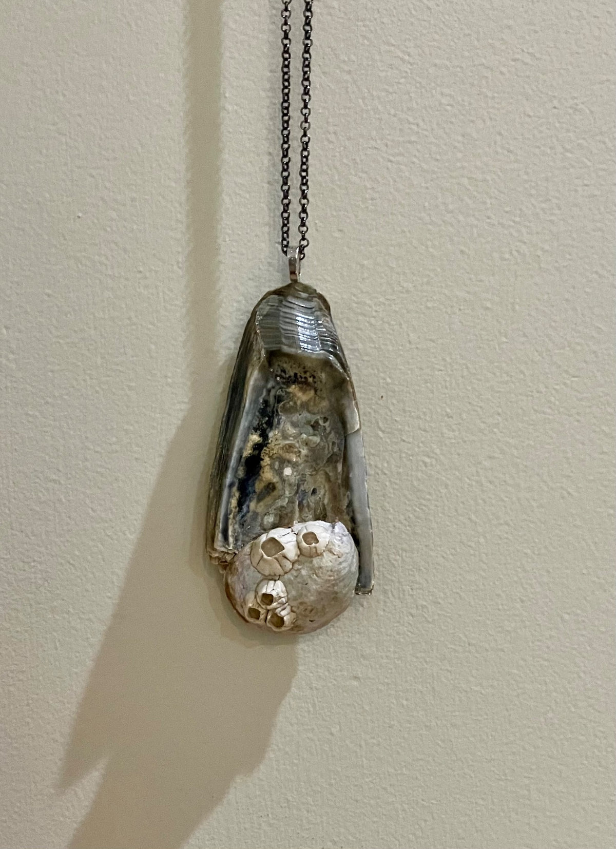 Necklace - oyster w/barnacled slipper
