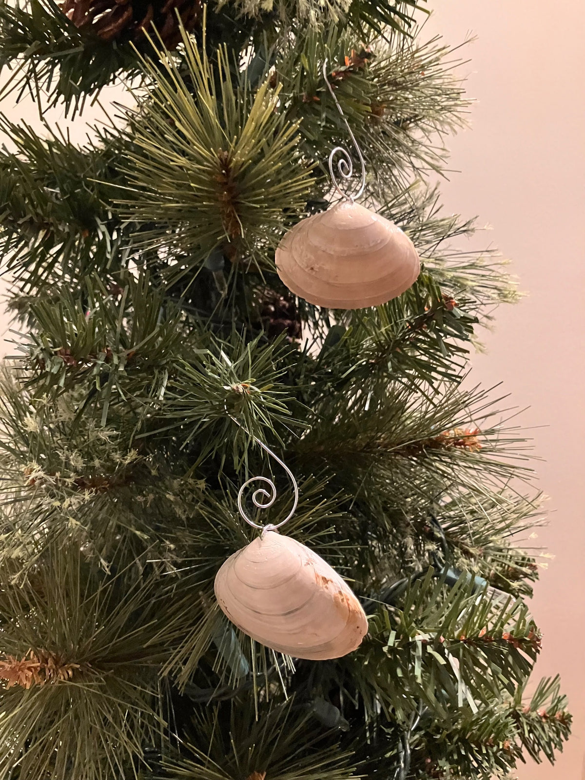 Ornaments-seaglass and/or shells