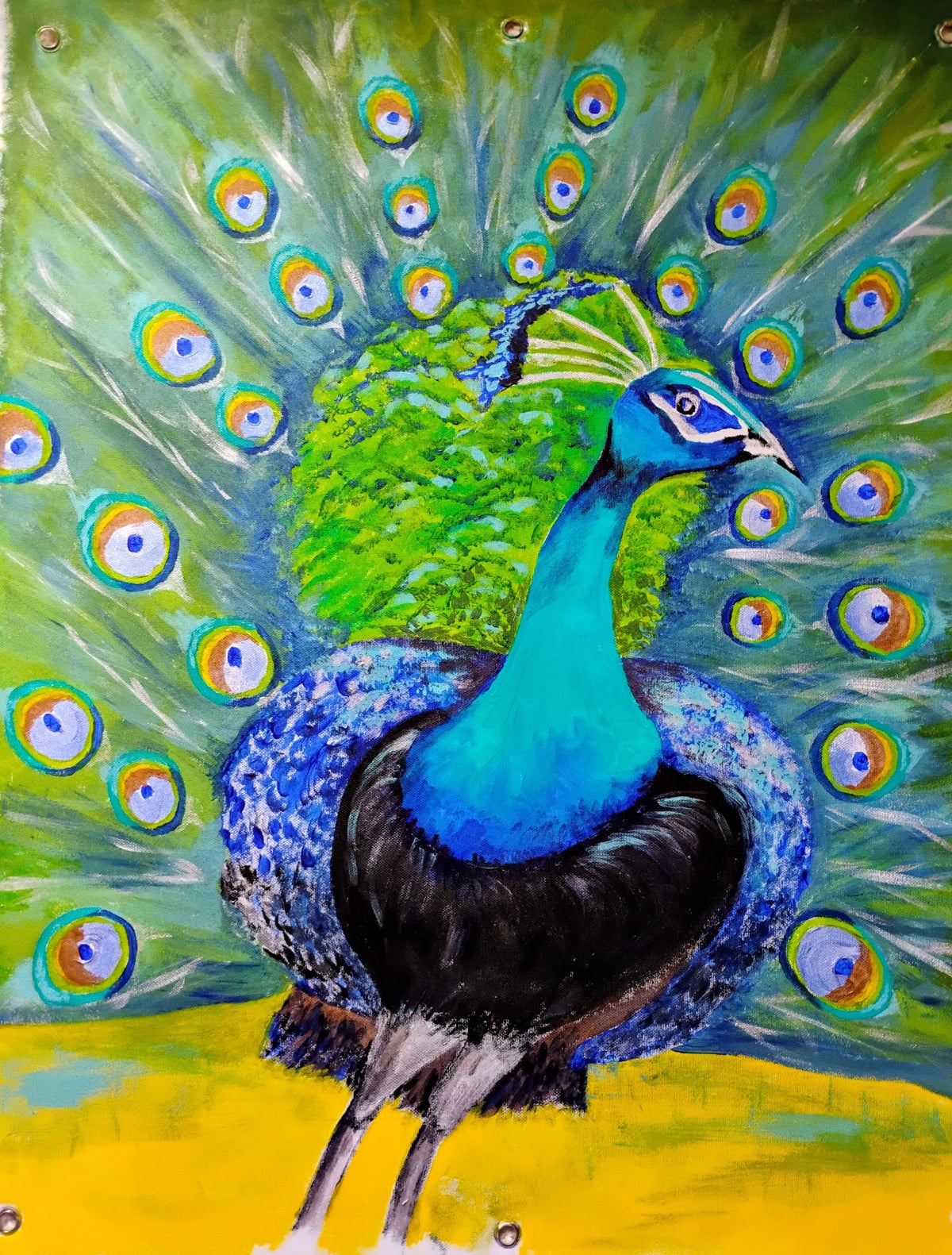 Pack of 8 Peacock cards by Joyce Maura Anderson