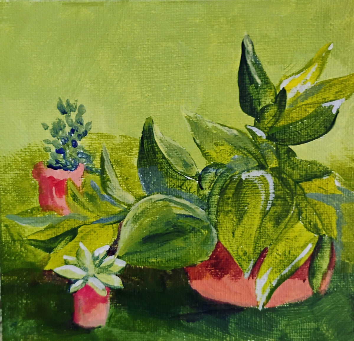 Trio of Houseplants by Joyce Maura Anderson