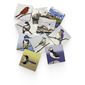 Art Coasters by Edgecomb Potters