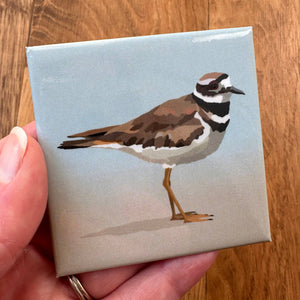 Killdeer Acrylic Magnet by Lehoux Art