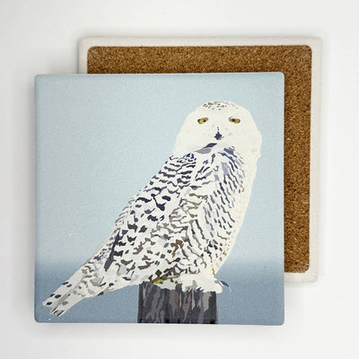 Snowy Owl Absorbent Coaster by Lehoux Art