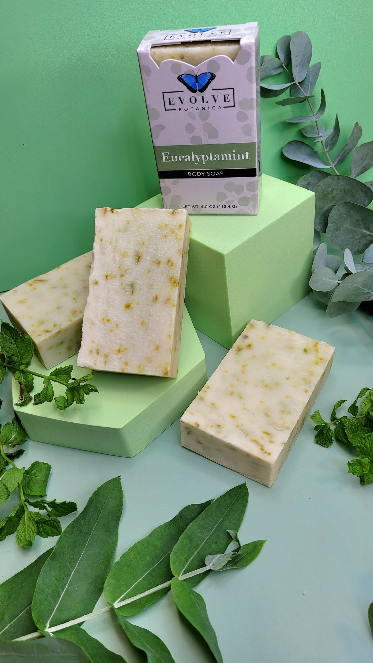 Standard Bar Soap - Eucalyptamint by Evolve Botanica