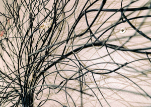 September Tree by Gurtan