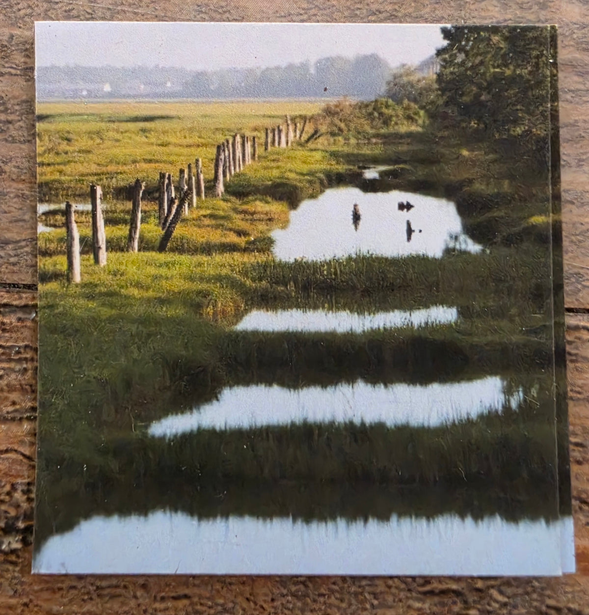 JL 2" magnet design images AC by Janet Lang