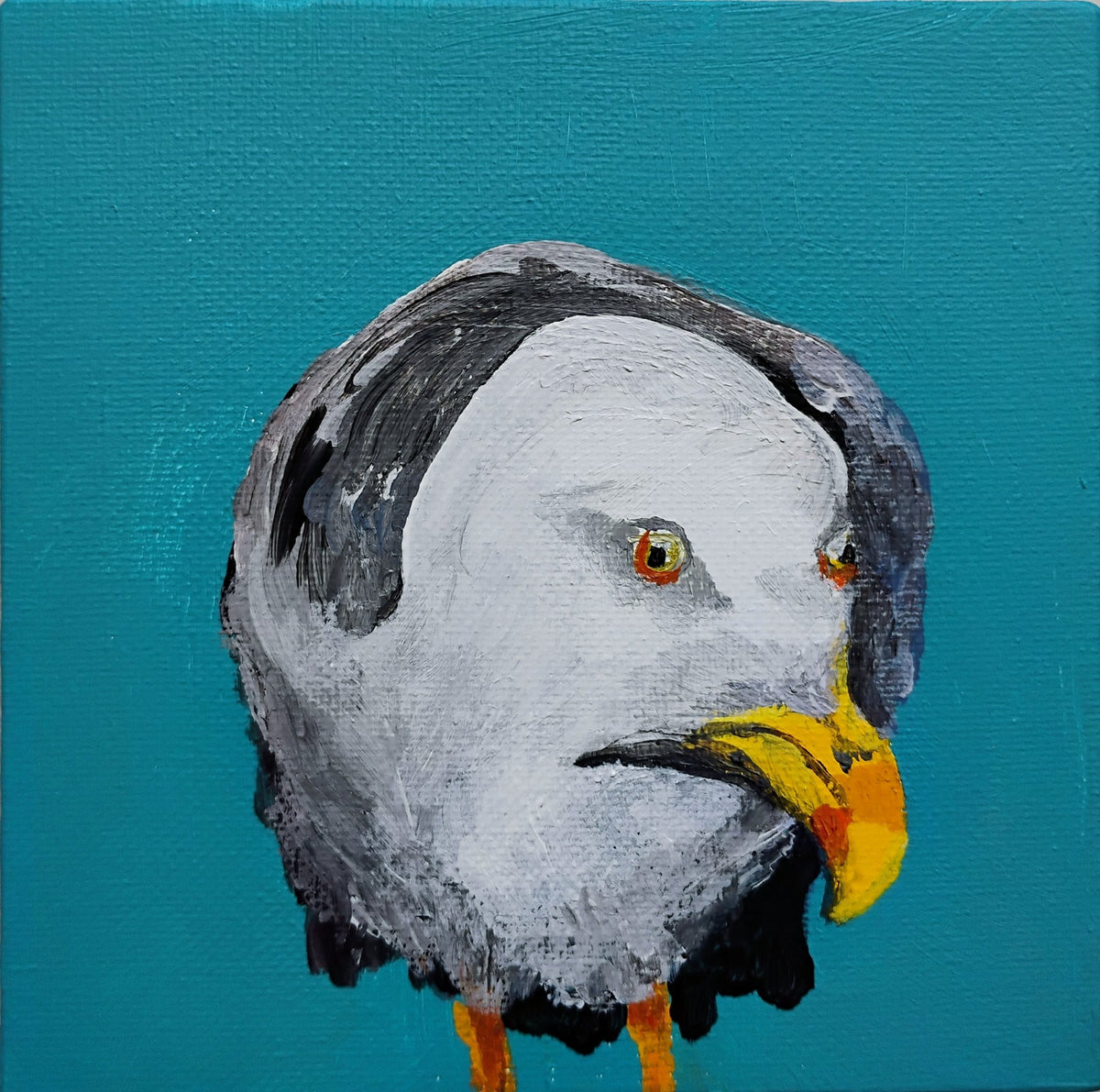 Grumpy Gull by Joyce Maura Anderson