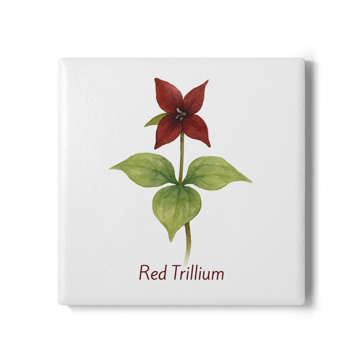 Red Trillium Art Coaster by Printify