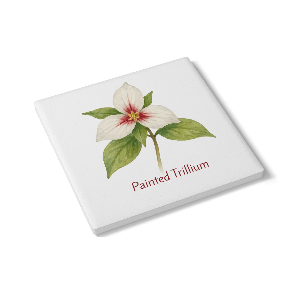 Painted Trillium Art Coaster by Printify