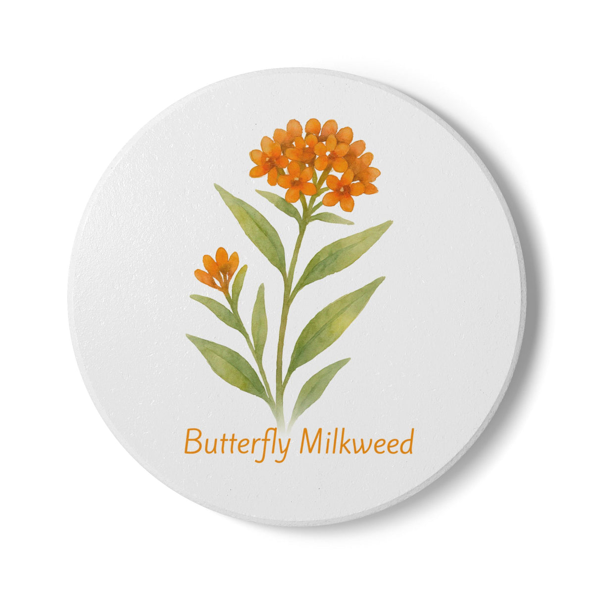 Butterfly Milkweed Art Coaster by Printify
