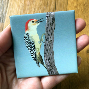 Red-bellied Woodpecker Acrylic Magnet by Lehoux Art