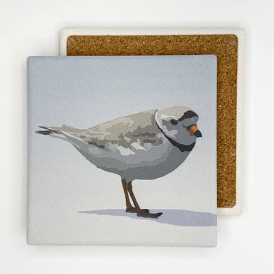 Piping Plover Absorbent Coaster by Lehoux Art