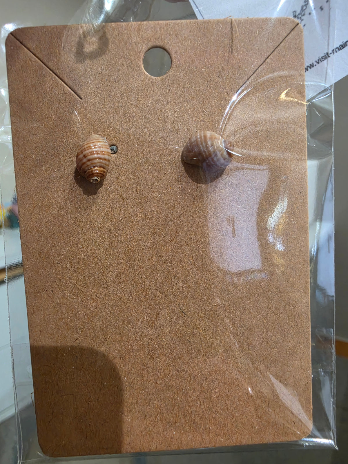 Tiny snail studs by Tonya Arnold