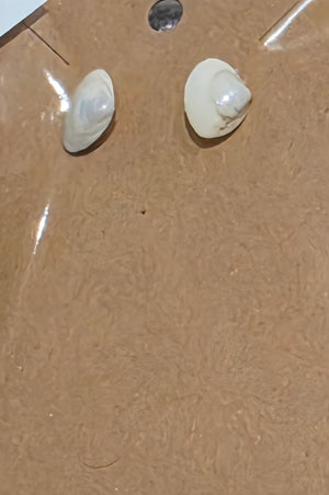 Tiny clam shell Studs by Tonya Arnold