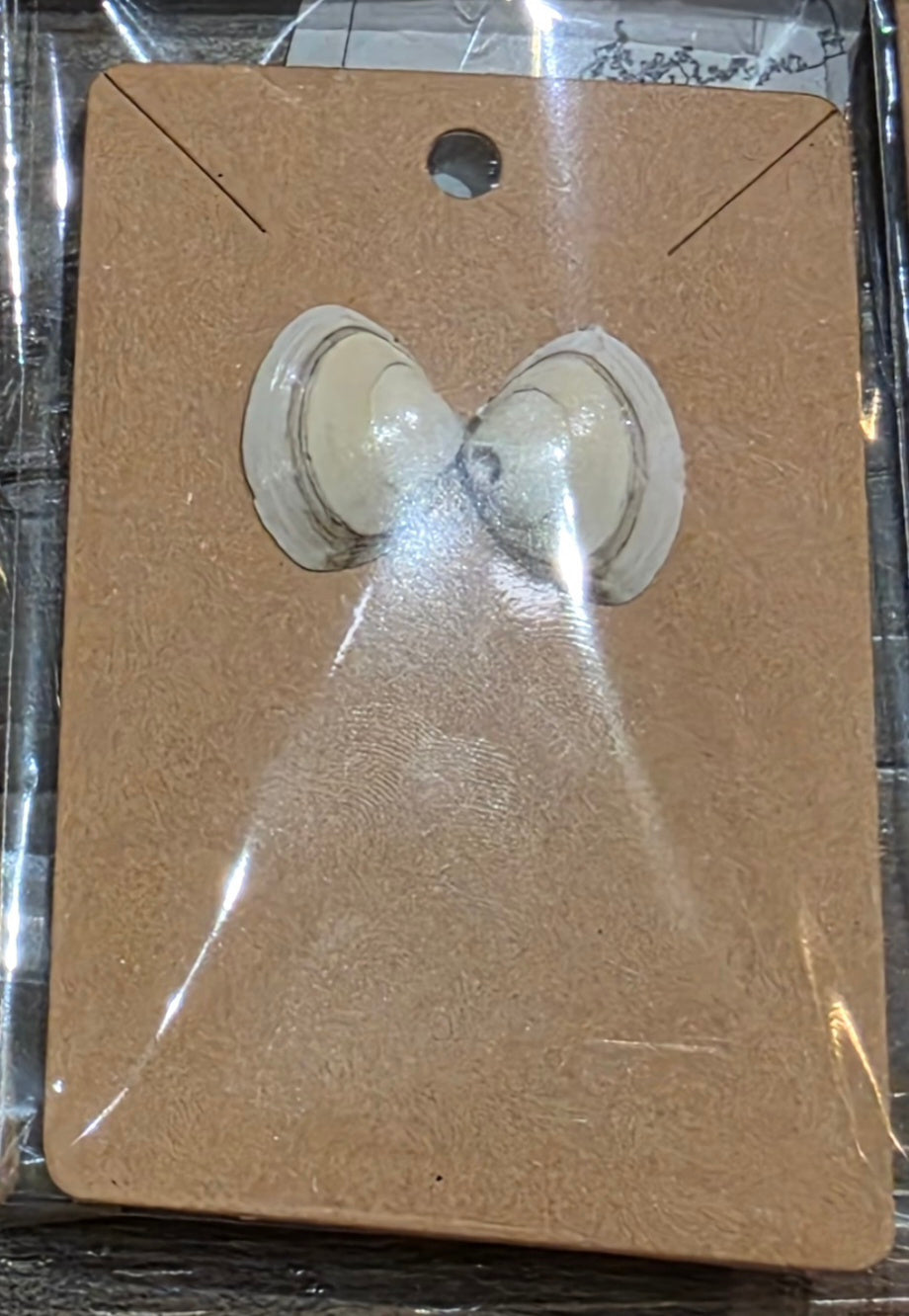 Tiny clam shell Studs by Tonya Arnold