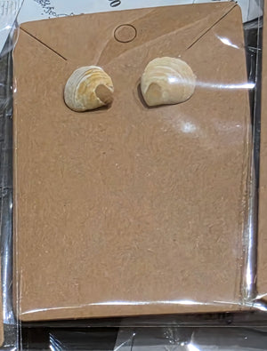 Tiny clam shell Studs by Tonya Arnold