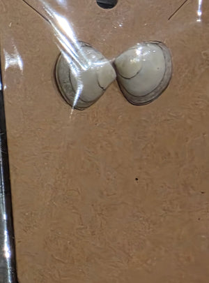 Tiny clam shell Studs by Tonya Arnold