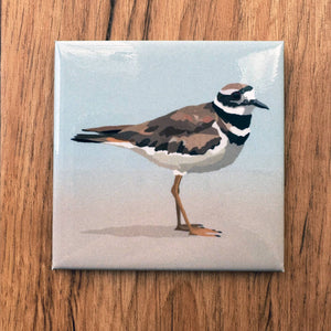 Killdeer Acrylic Magnet by Lehoux Art