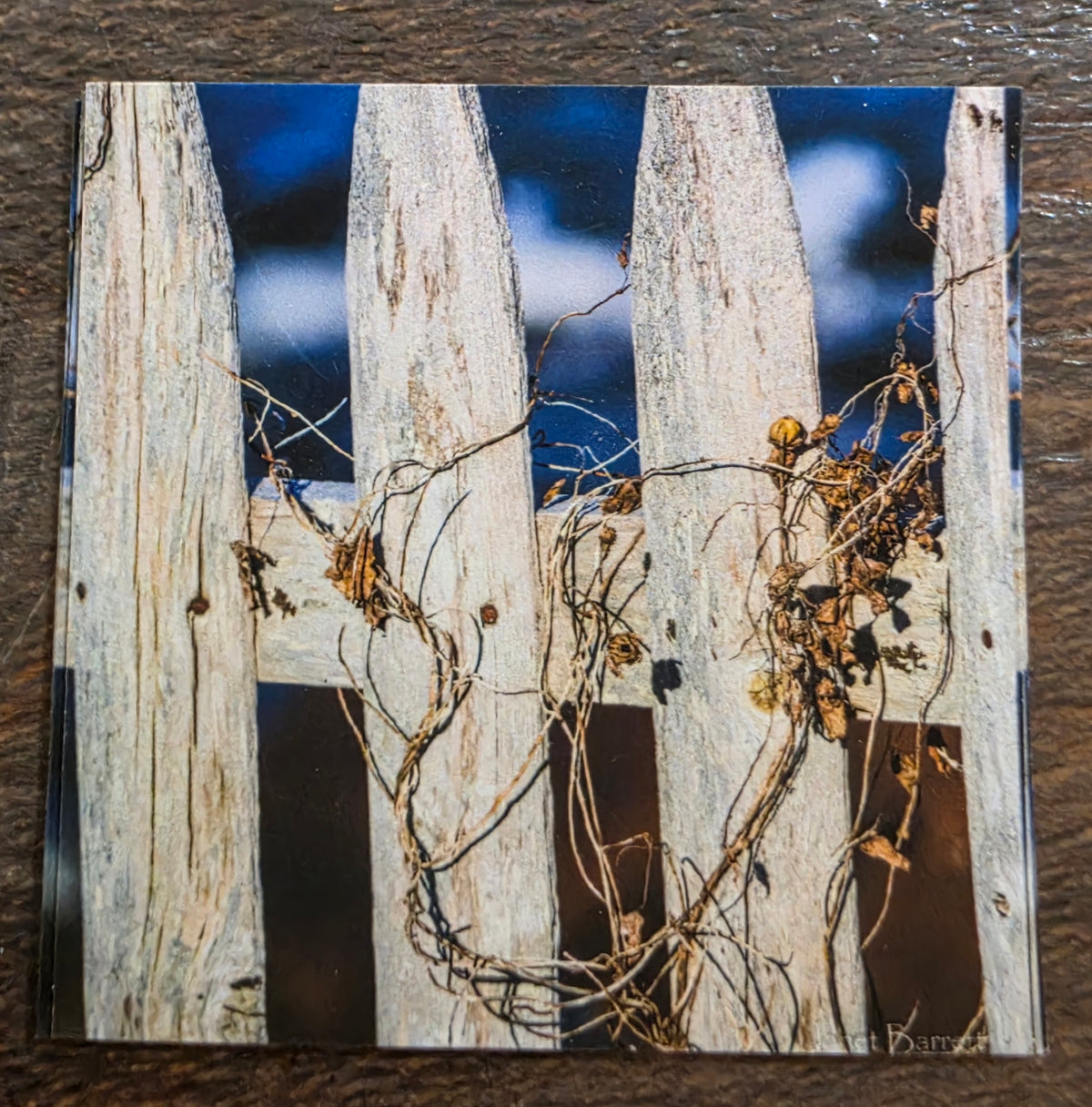 JL 2" magnet design images AC by Janet Lang