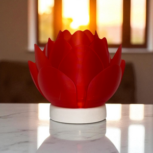 Lotus & Leaf Luminaries by This Rad Life
