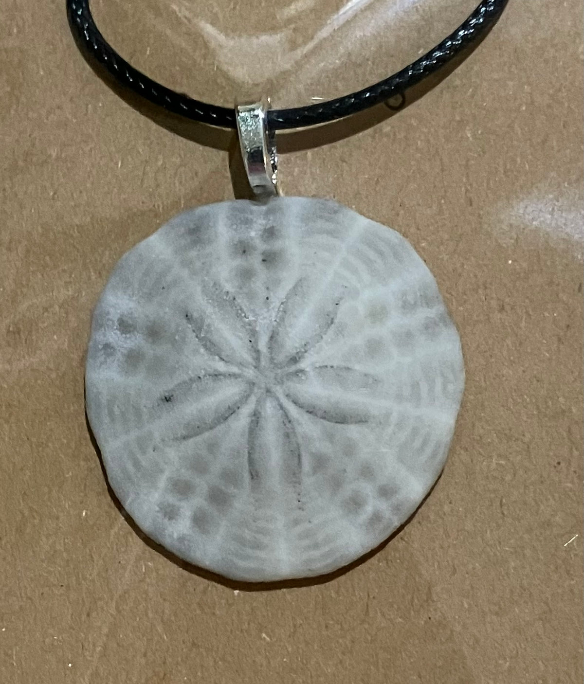 Sand dollar -w black cord by Tonya Arnold
