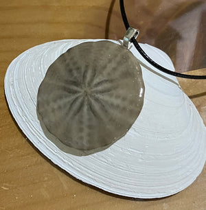 Sand dollar necklace black cord by Tonya Arnold