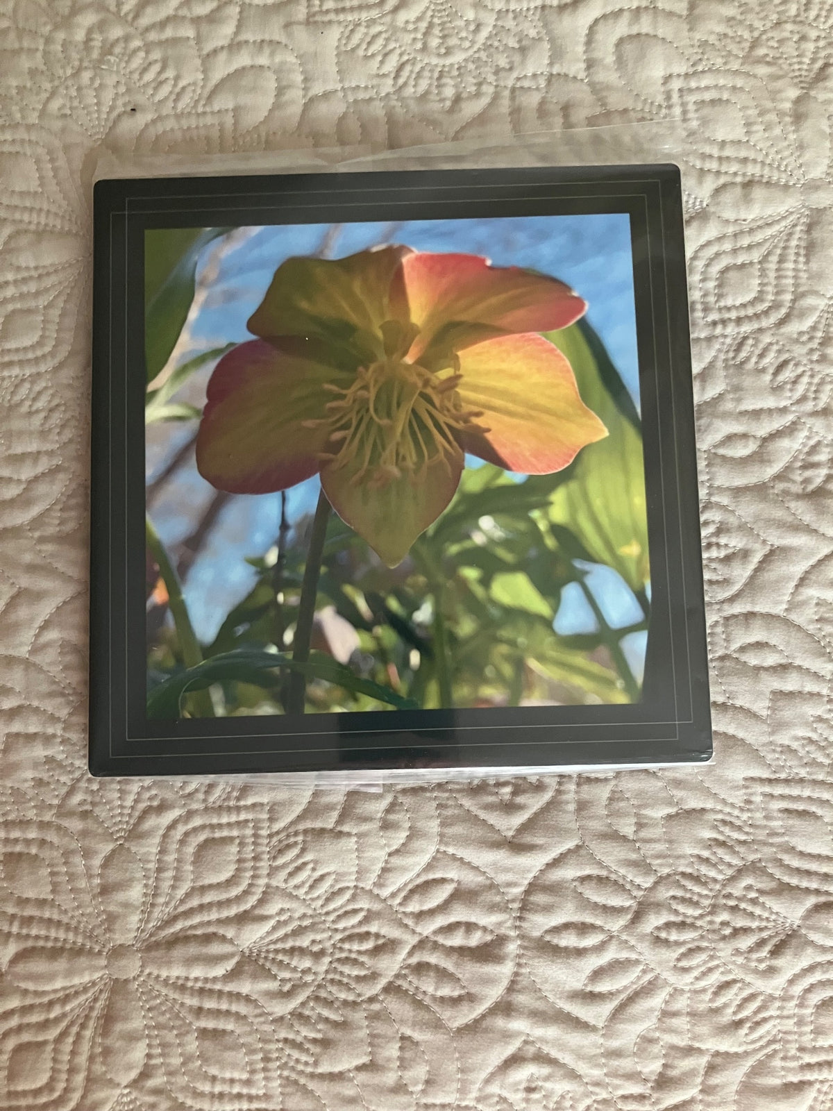 Original/durable-hellebore fairy by Tonya Arnold